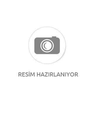 KOLU TÜL VE TAŞ DETAYLI MİDİ BOY ELBİSE
